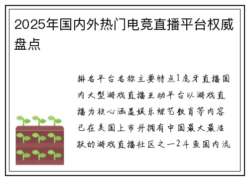 2025年国内外热门电竞直播平台权威盘点